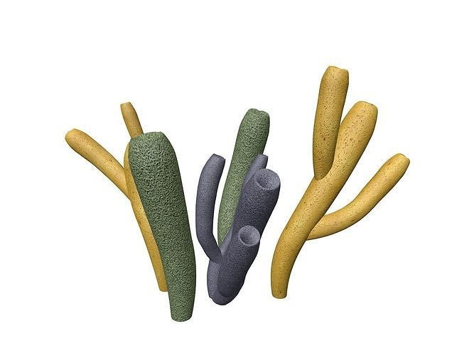 Tube Sponge - 01 - 3D model