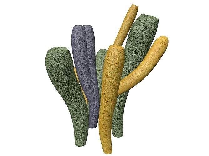 Tube Sponge - 05 - 3D model