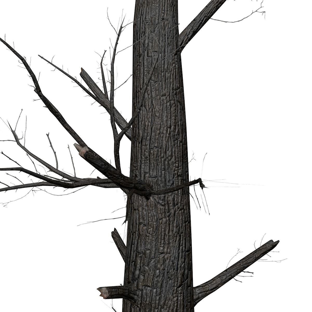 Burnt Tree - 01 - 3D model_3