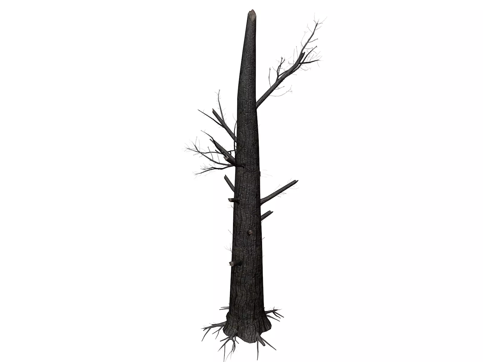 Burnt Tree - 01 - 3D model_0
