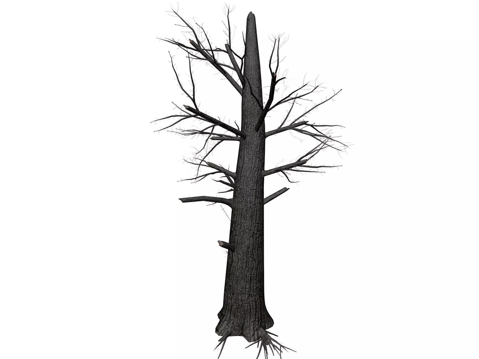 Burnt Tree - 03 - 3D model_0
