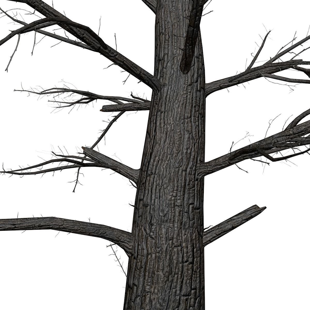Burnt Tree - 03 - 3D model_3