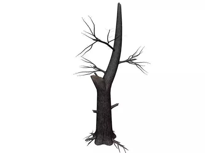 Burnt Tree - 04 -