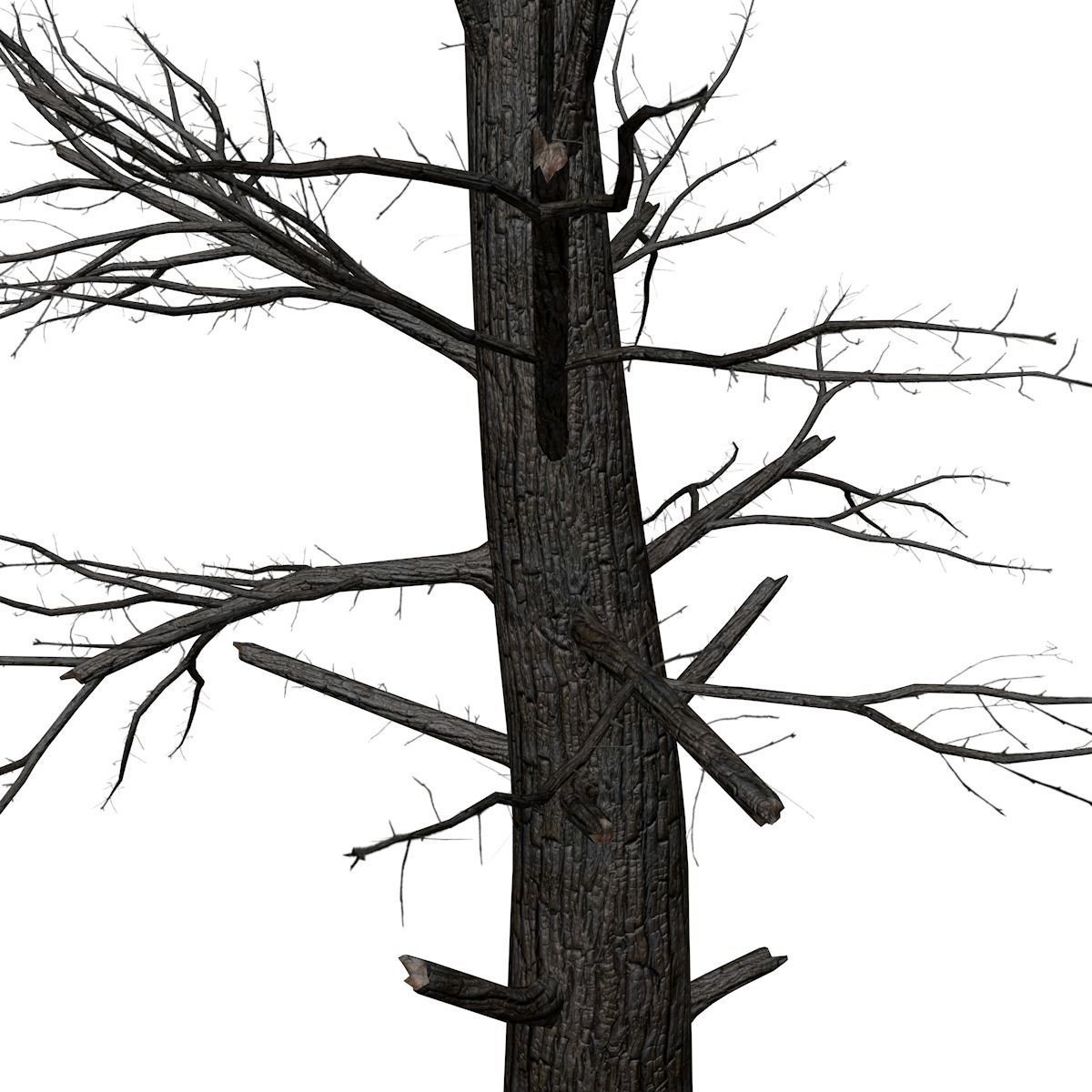 Burnt Tree - 05 - 3D model_3