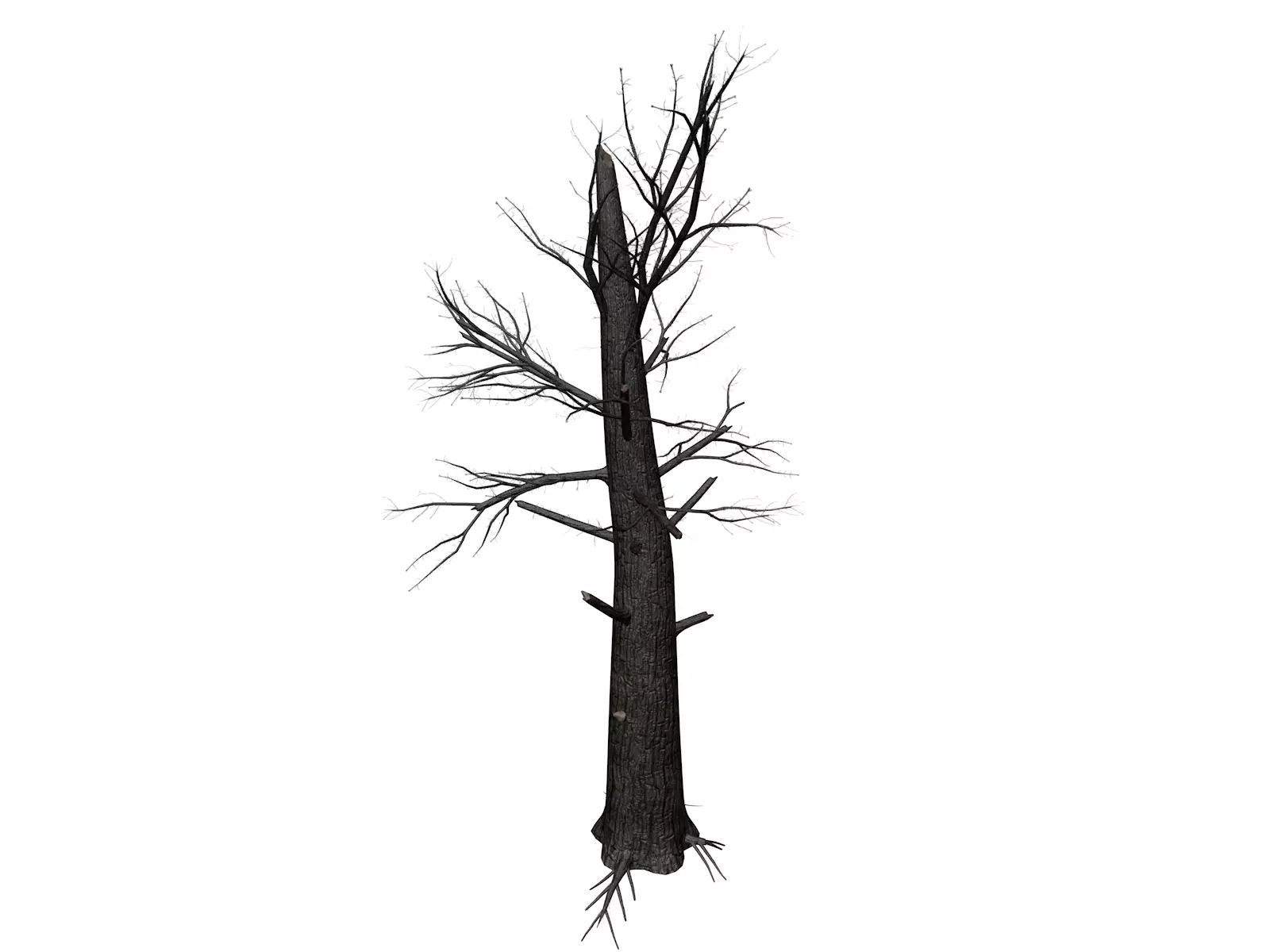 Burnt Tree - 05 - 3D model_0