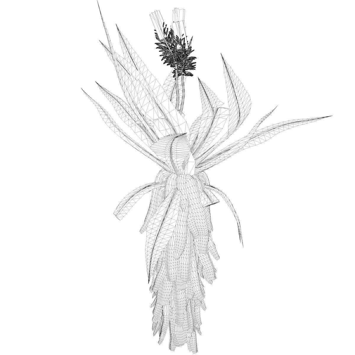 Aloe Excelsa Plant - 07 - 3D model_2