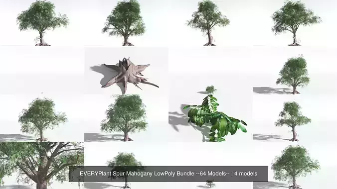 EVERYPlant Spur Mahogany LowPoly Bundle --64 Models-- 3D Model Collection