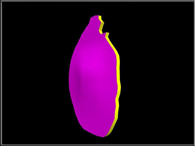 Dried Pear Slice Low-poly 3D model 5