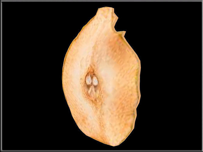 Dried Pear Slice Low-poly 3D model 3