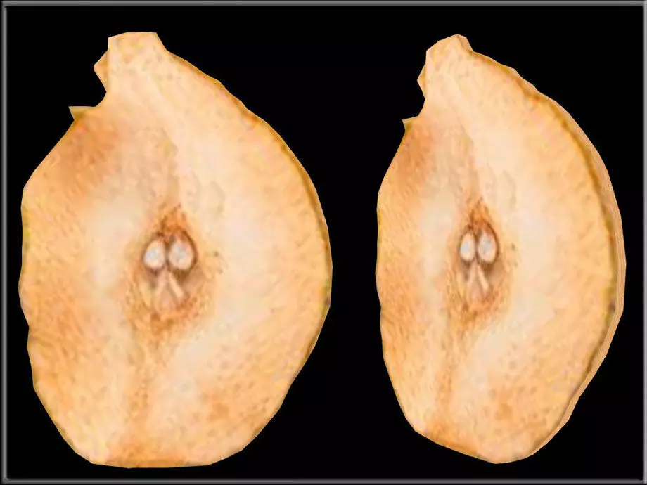 Dried Pear Slice Low-poly 3D model