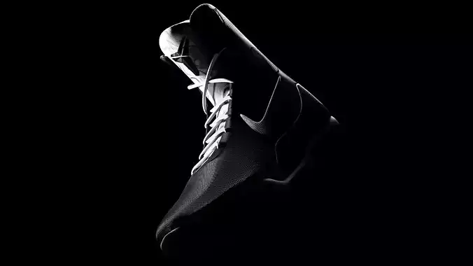 Nike x Kobe IX Shoe 3D model