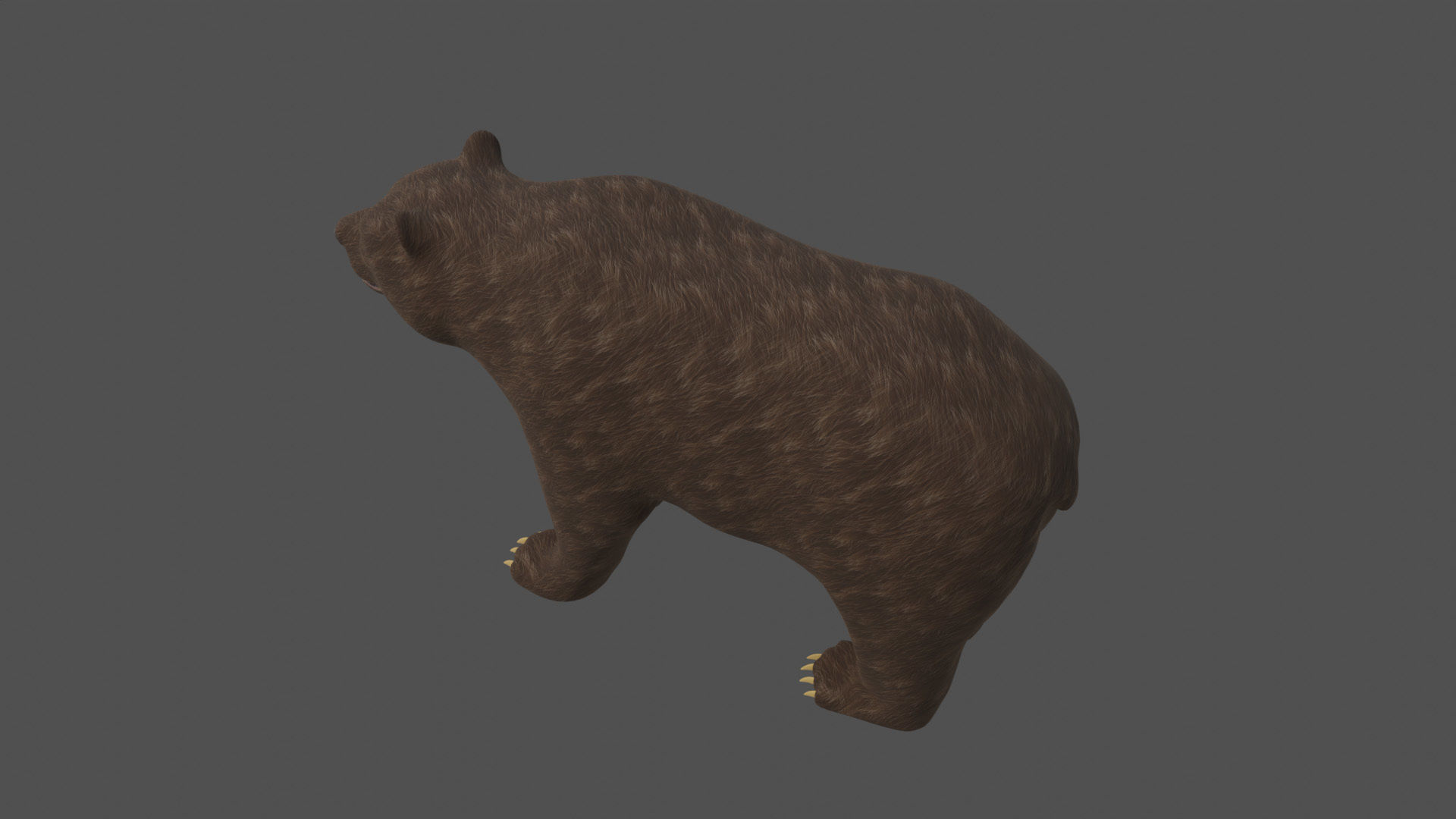 Stylized Brown bear realistic PBR Low-poly 3D model_2