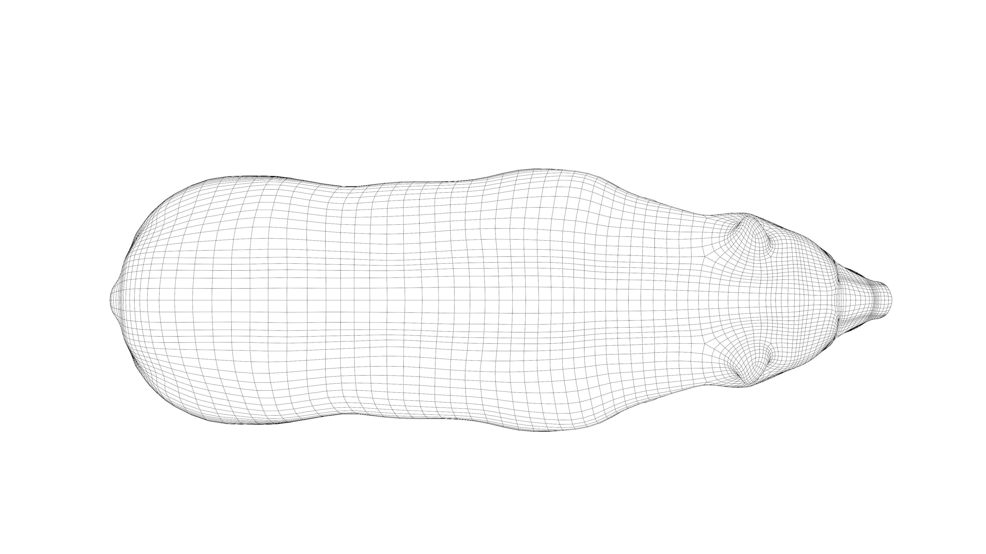 Stylized Brown bear realistic PBR Low-poly 3D model_8