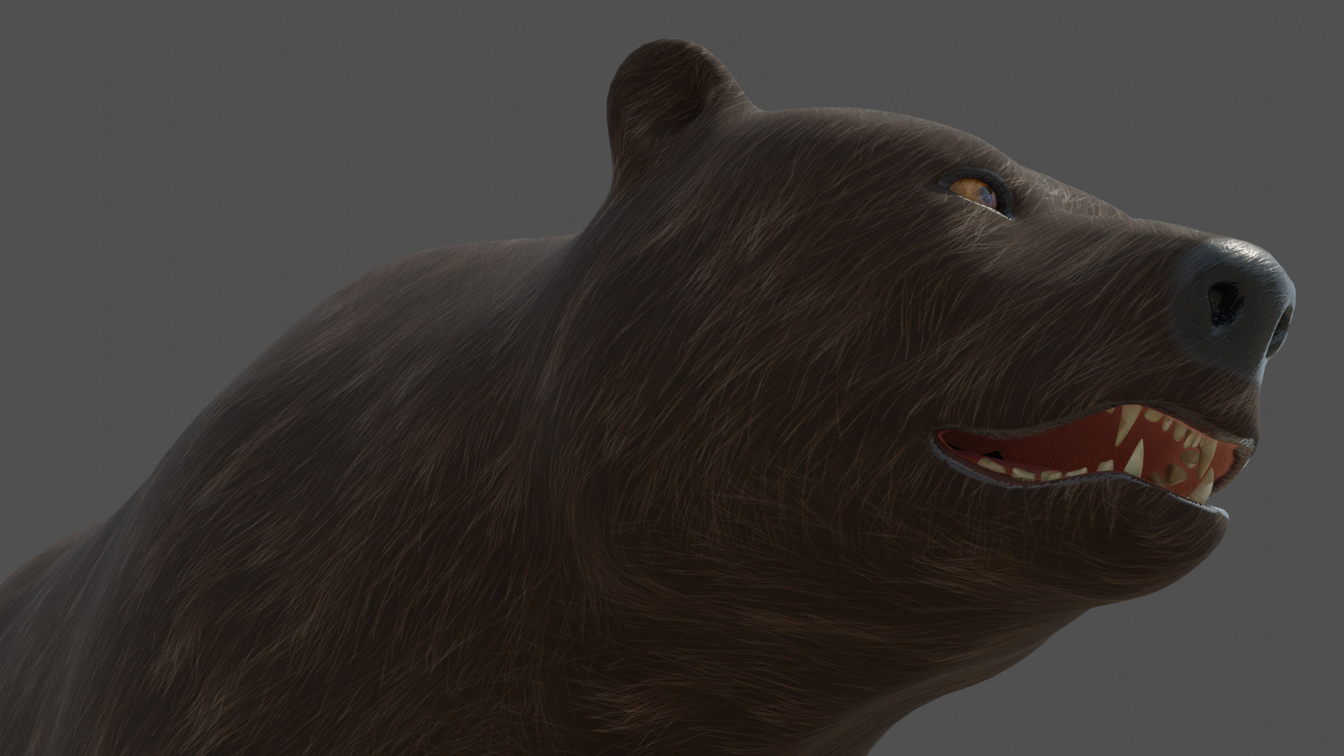 Stylized Brown bear realistic PBR Low-poly 3D model_5