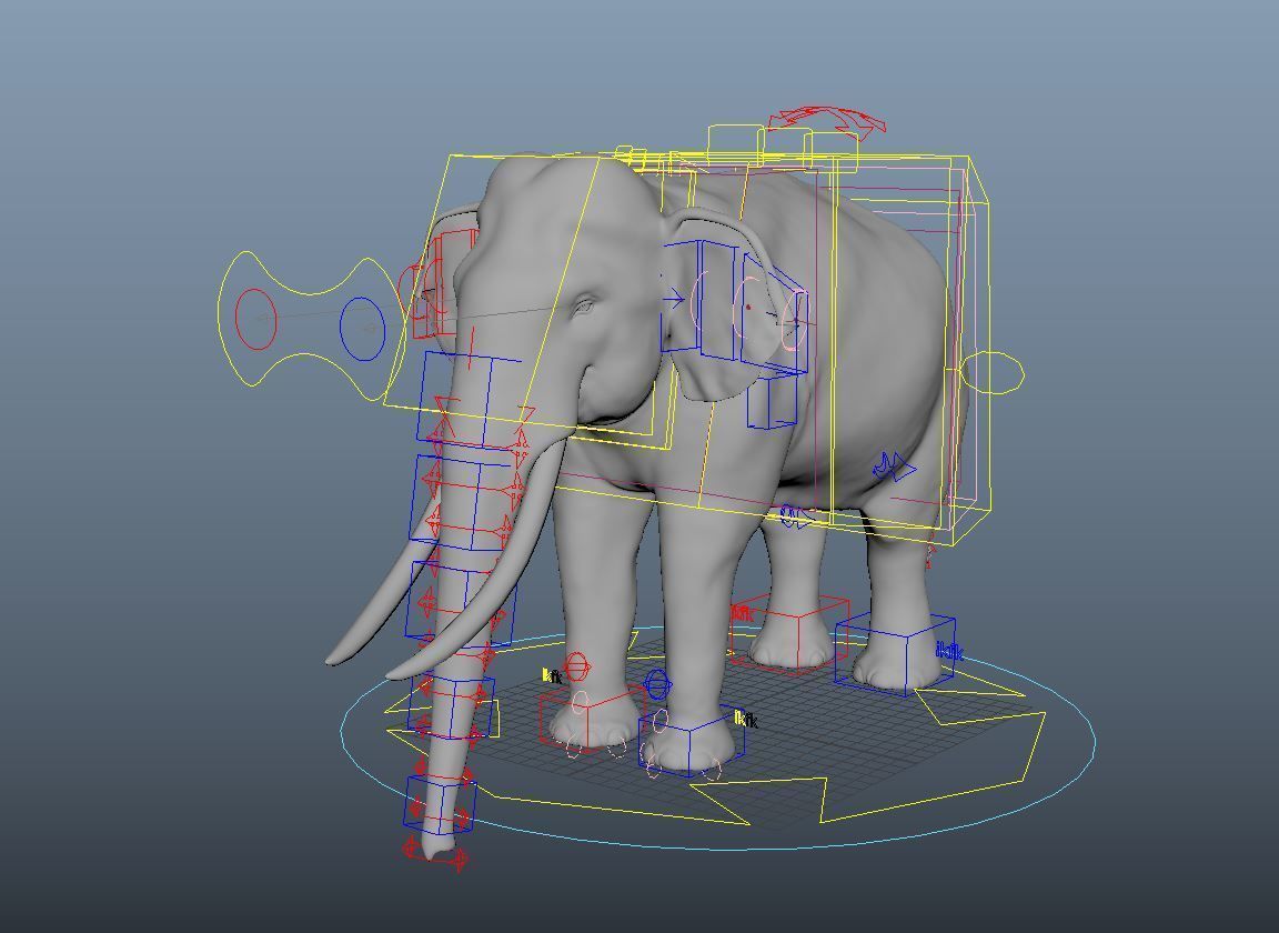 Elephant 3D model_3