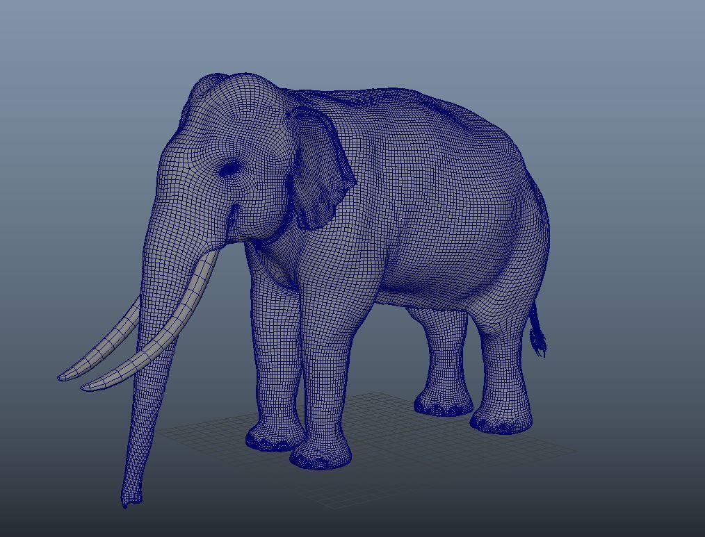 Elephant 3D model_5