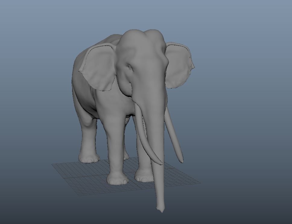Elephant 3D model_2