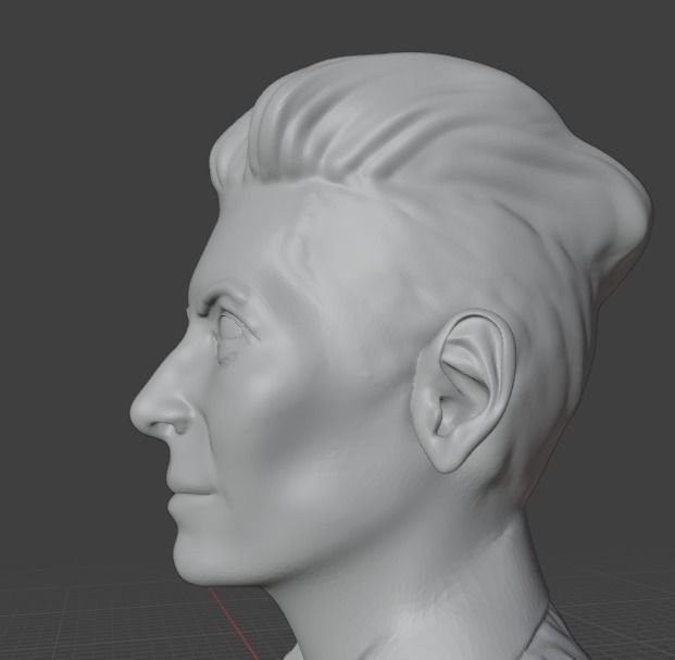 Tilda Swinton 3D print model_22