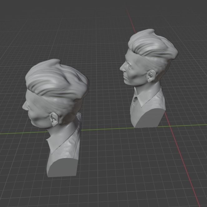Tilda Swinton 3D print model_8