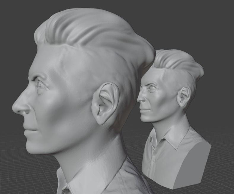 Tilda Swinton 3D print model_18