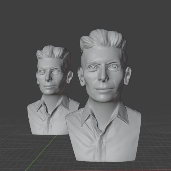 Tilda Swinton 3D print model_1