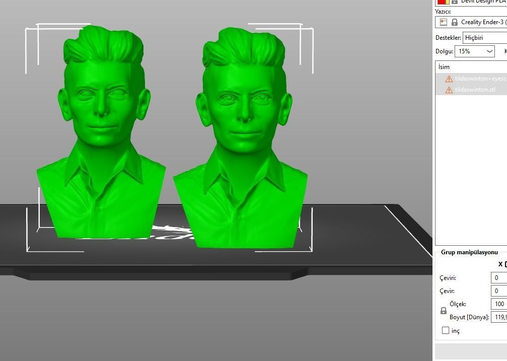 Tilda Swinton 3D print model_23
