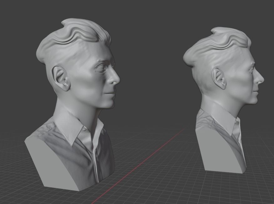 Tilda Swinton 3D print model_10