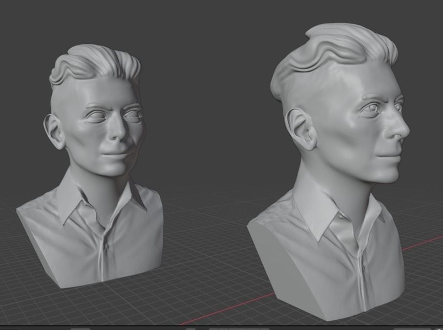 Tilda Swinton 3D print model_4