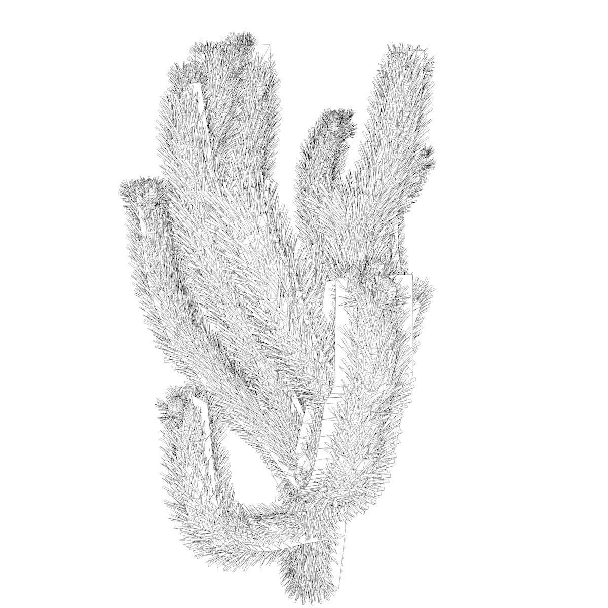 Cholla Cactus Plant - 01 - 3D model_2