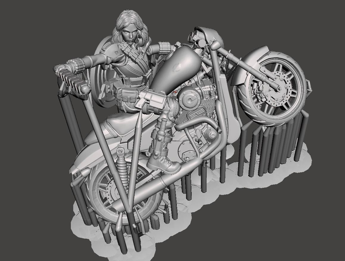 Scarlet 3d model STL on Bike with supports print ready 3D print model_7
