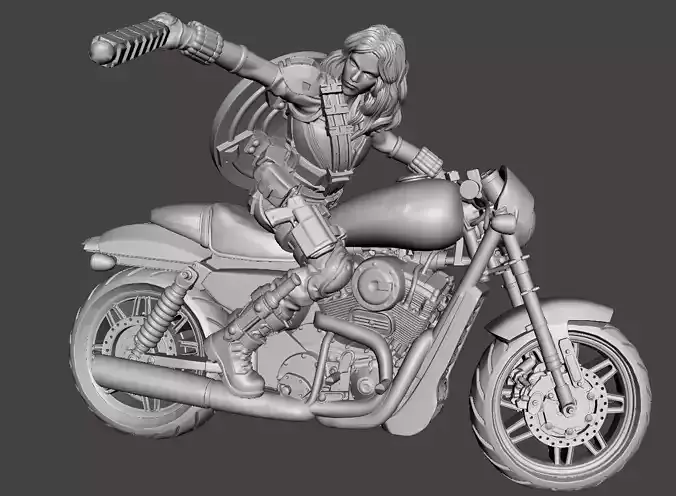 Scarlet 3d model STL on Bike with supports print ready