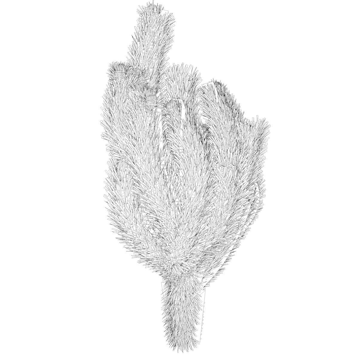 Cholla Cactus Plant - 03 - 3D model_2