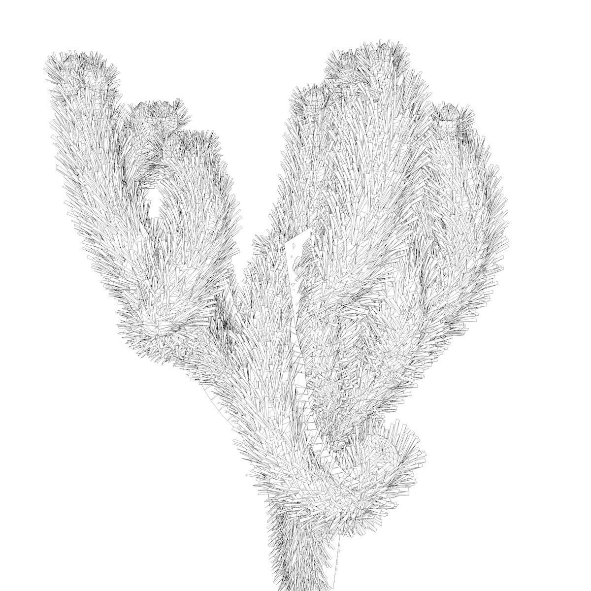 Cholla Cactus Plant - 04 - 3D model_2