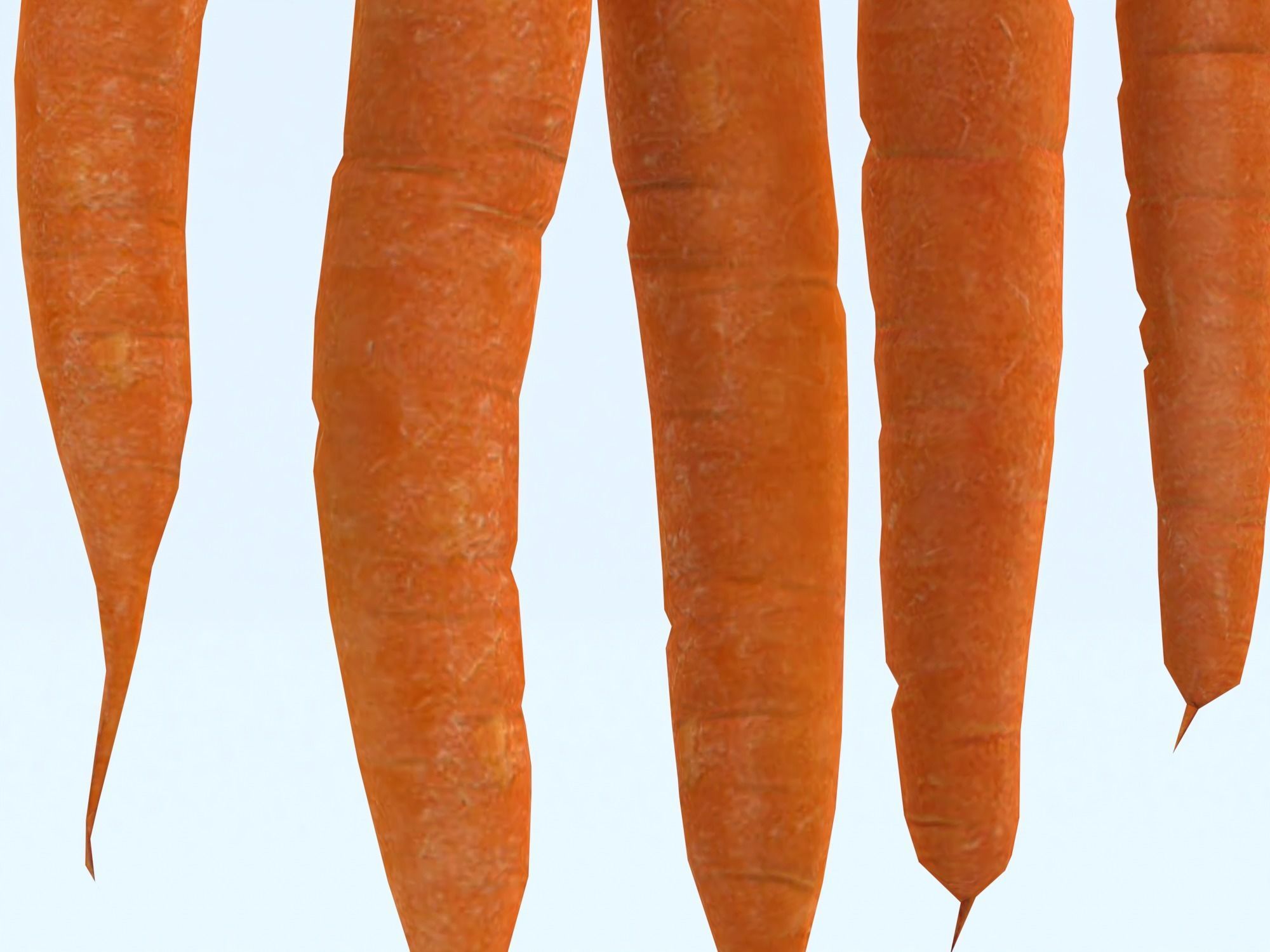 Carrots Low-poly 3D model_12