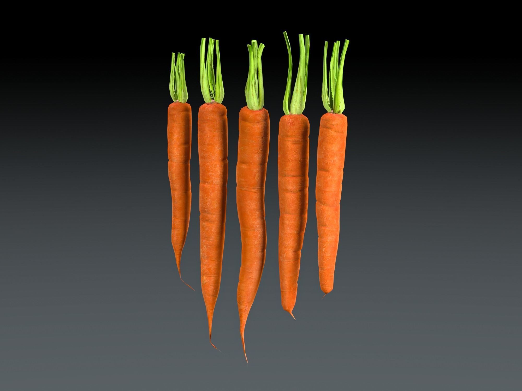 Carrots Low-poly 3D model_3
