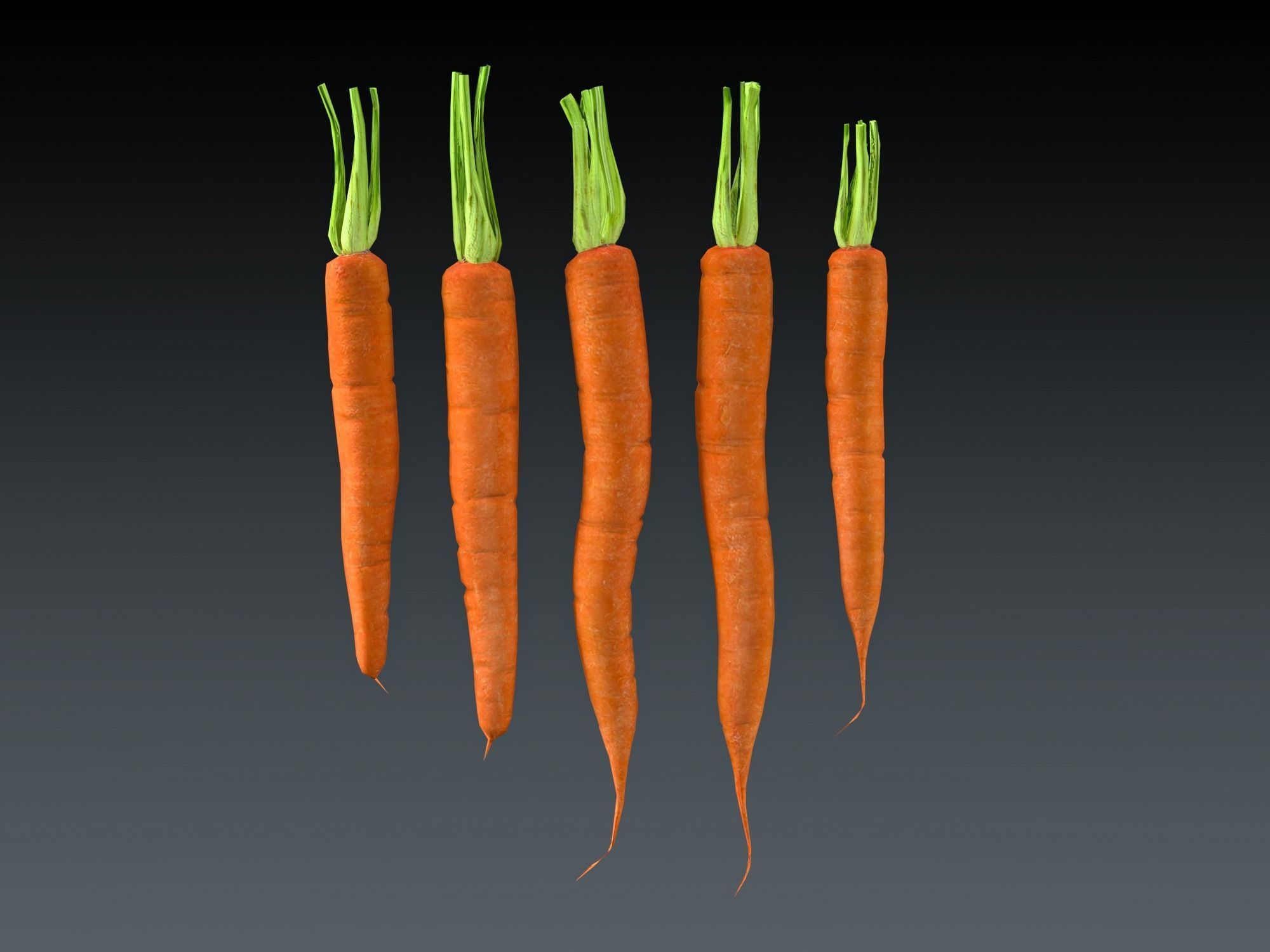 Carrots Low-poly 3D model_5