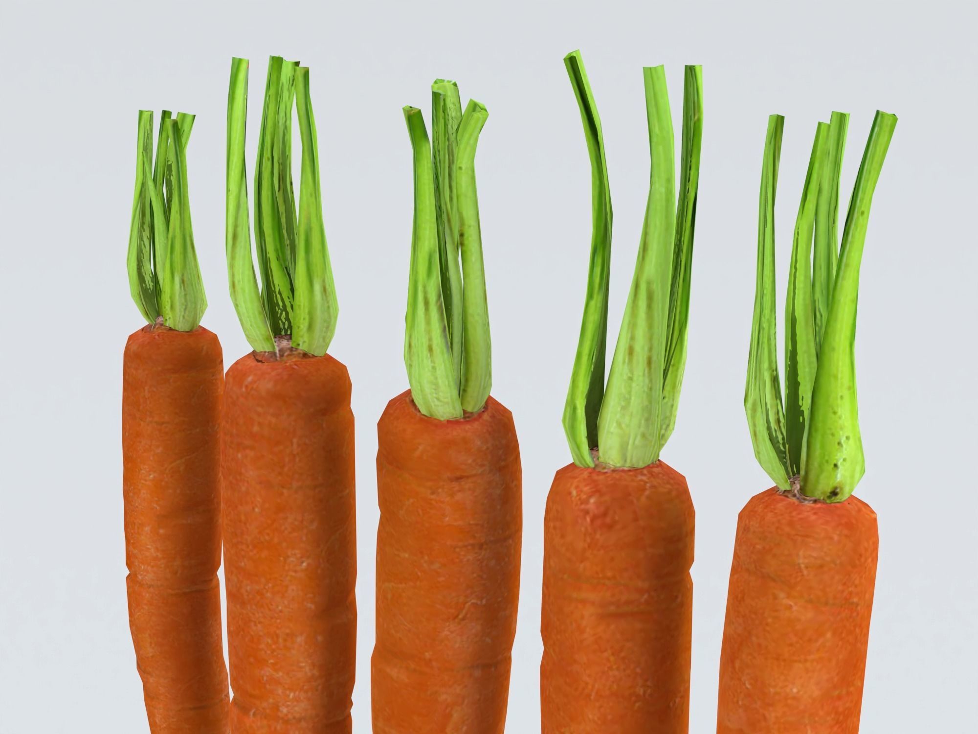 Carrots Low-poly 3D model_11