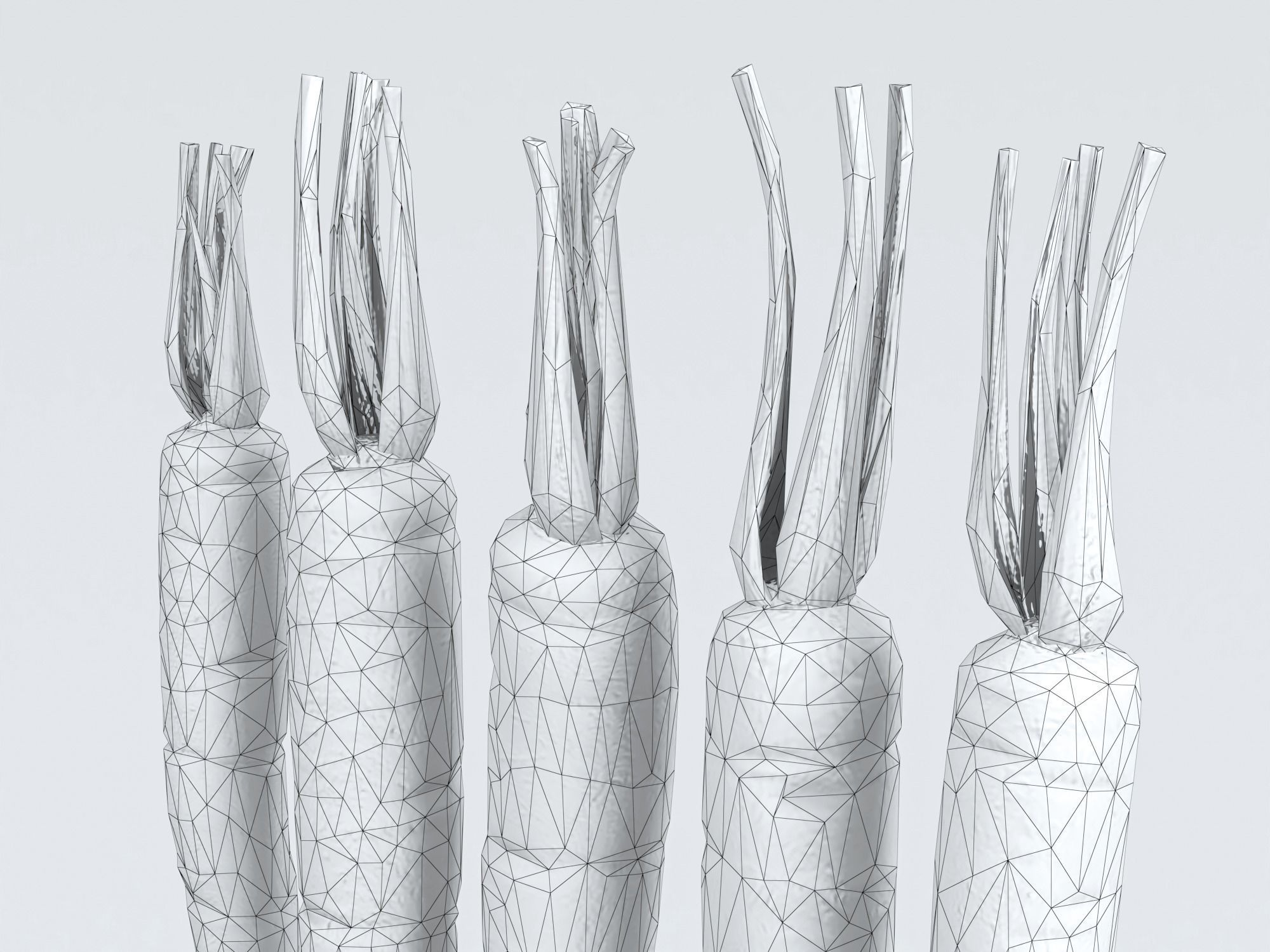 Carrots Low-poly 3D model_15