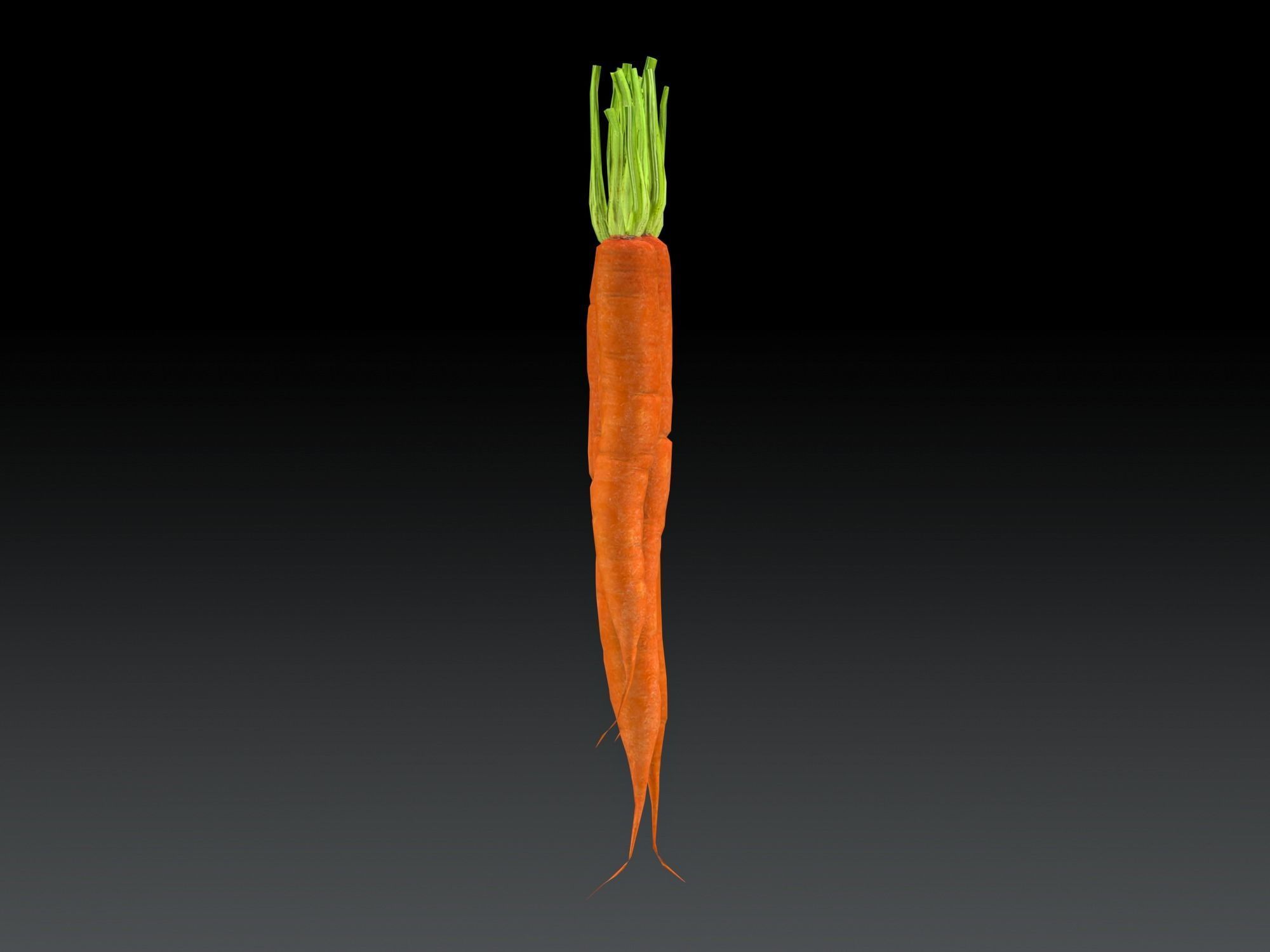 Carrots Low-poly 3D model_7