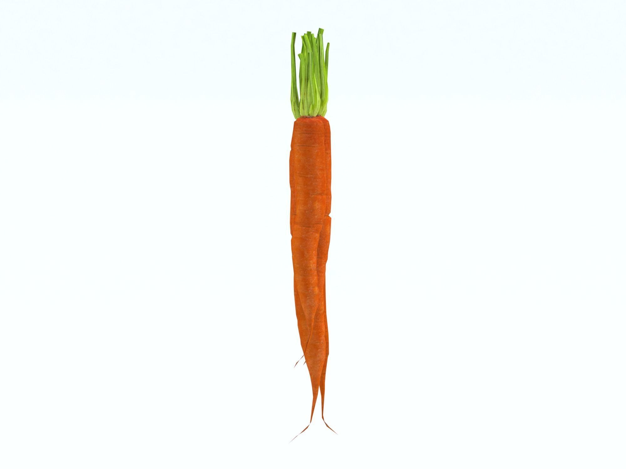 Carrots Low-poly 3D model_9