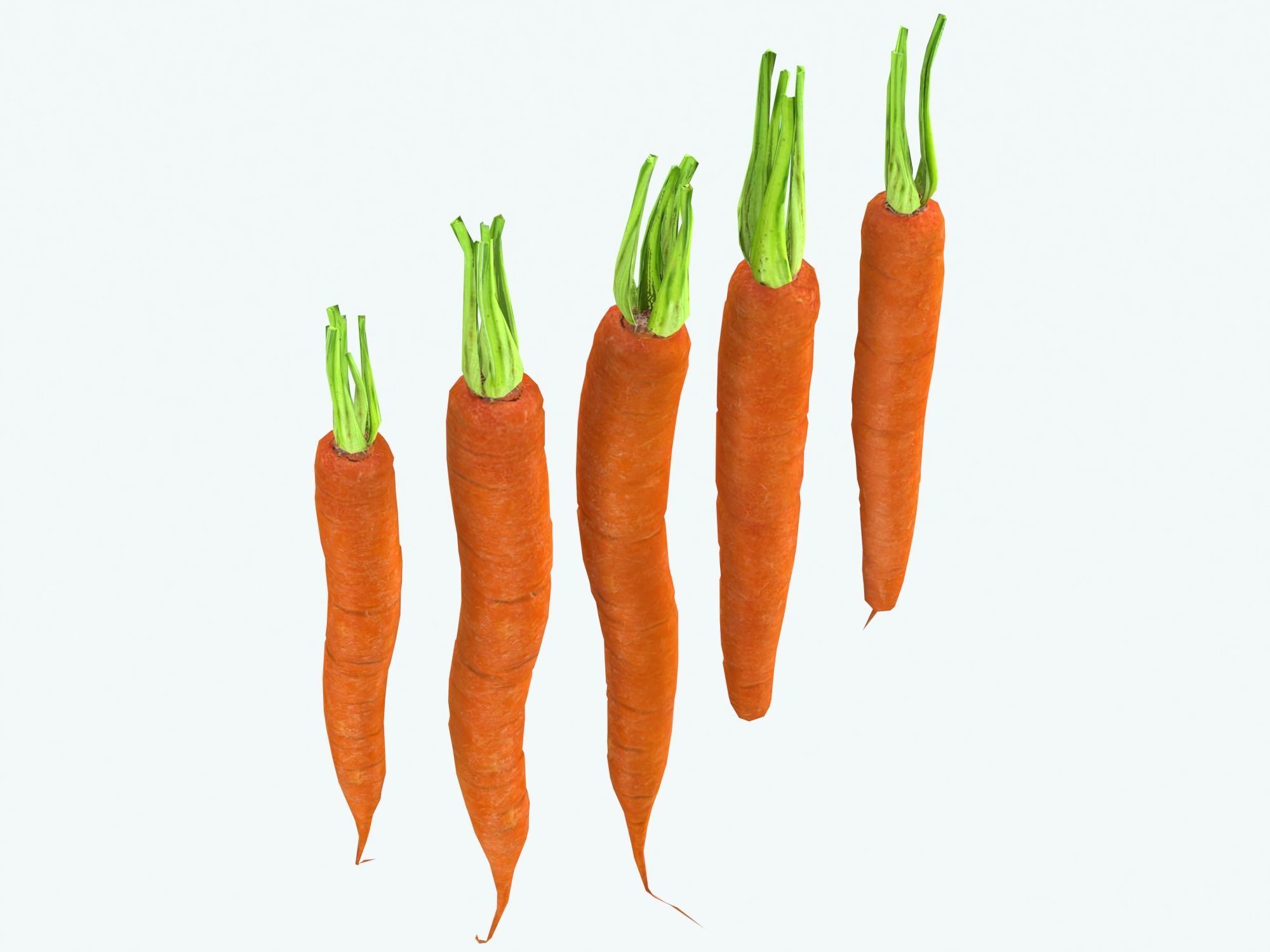 Carrots Low-poly 3D model_8