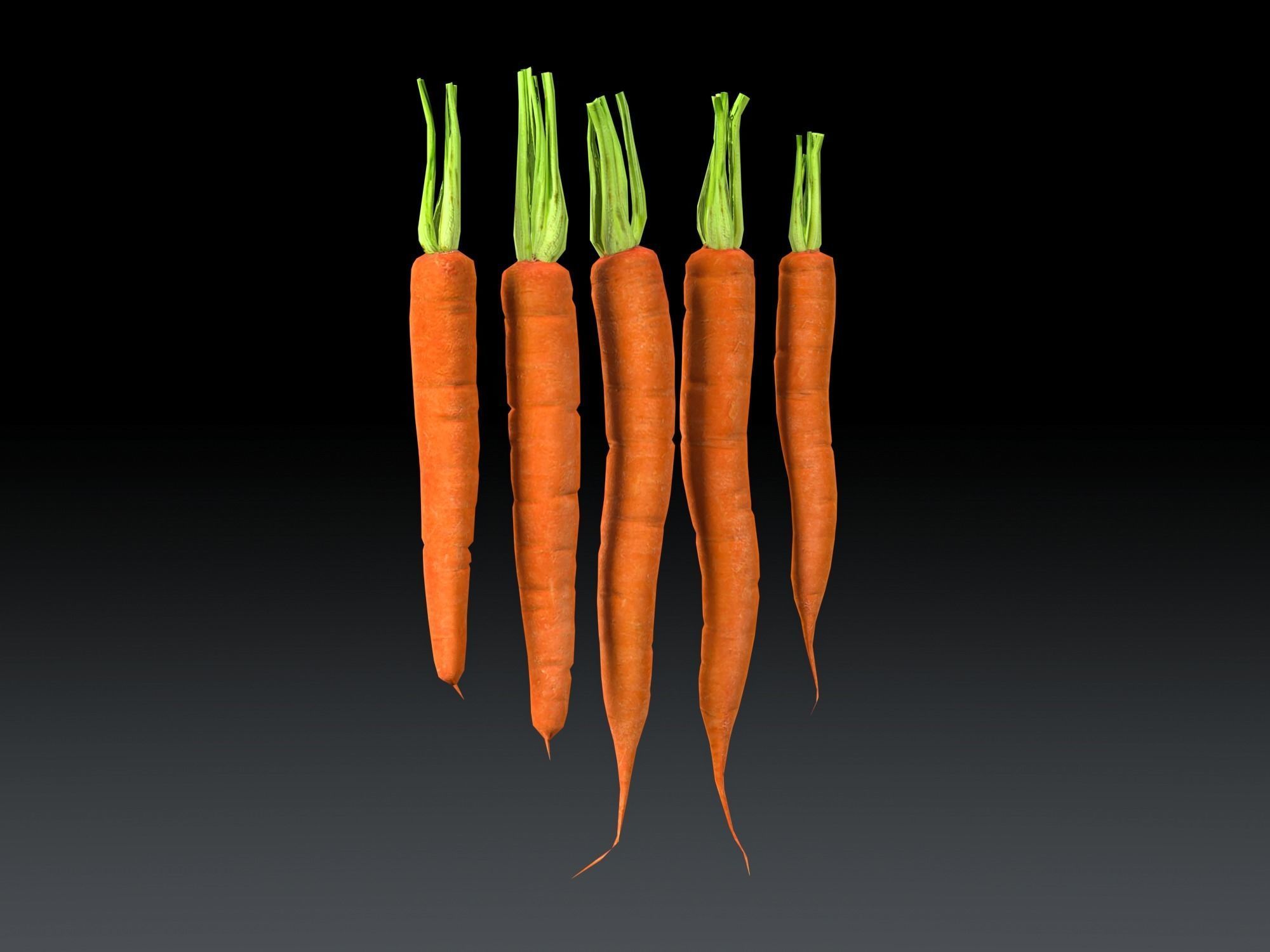 Carrots Low-poly 3D model_4