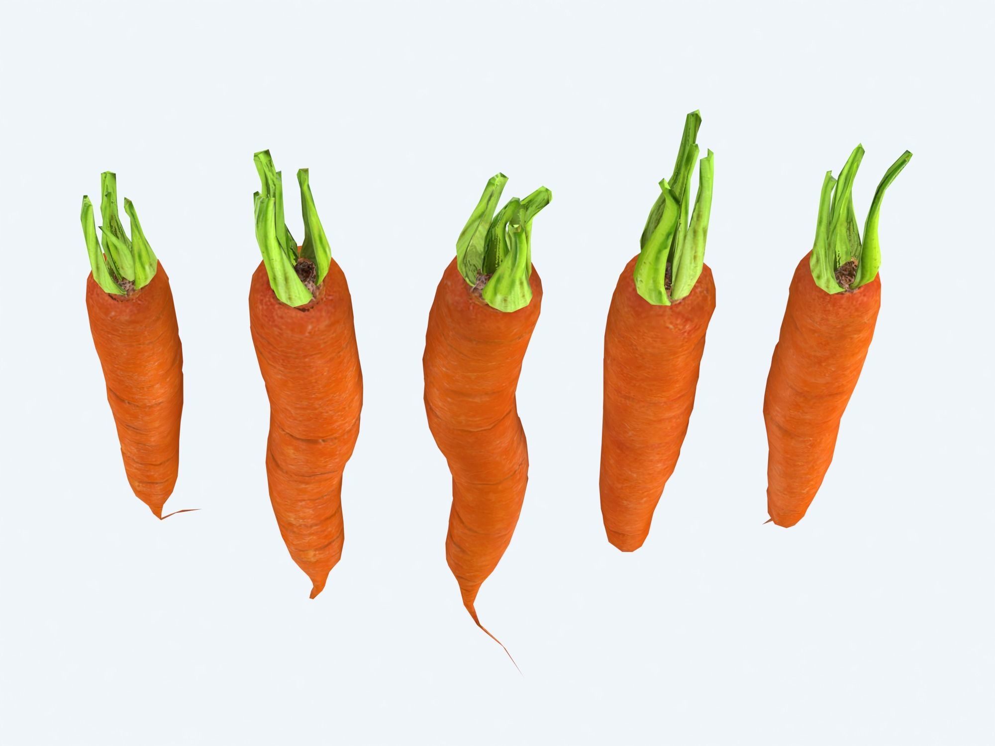 Carrots Low-poly 3D model_13