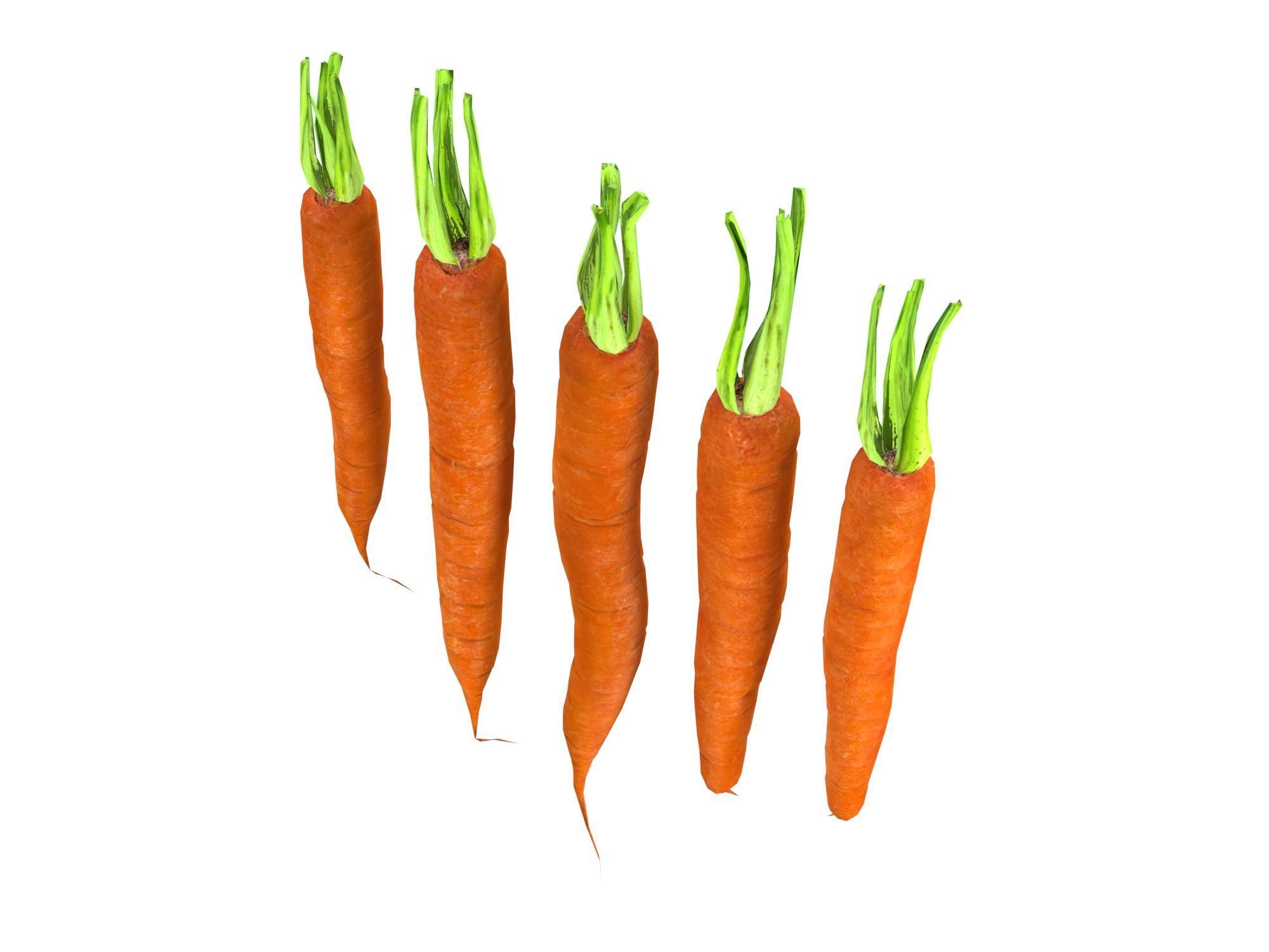 Carrots Low-poly 3D model_10