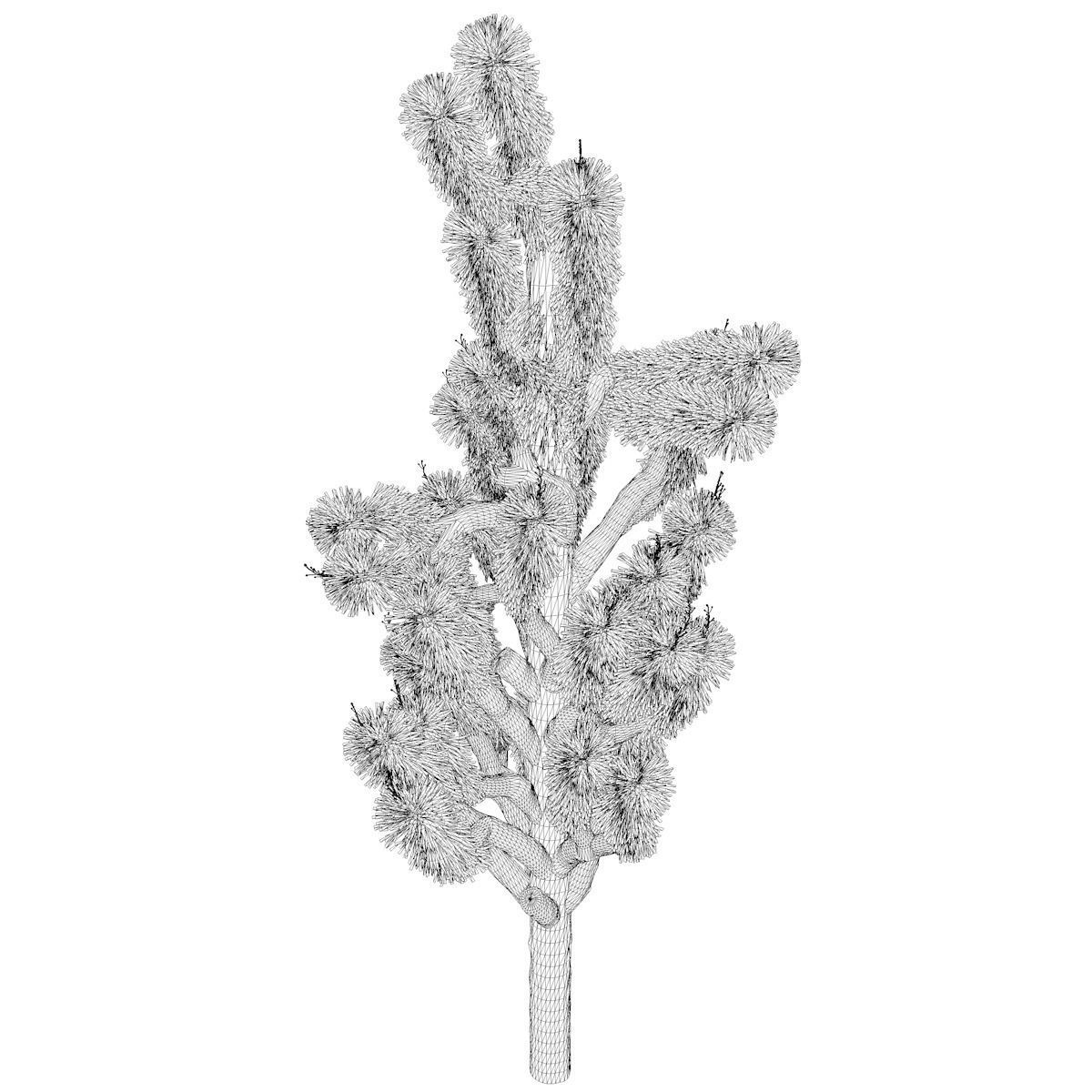 Joshua Tree - 04 - 3D model_2