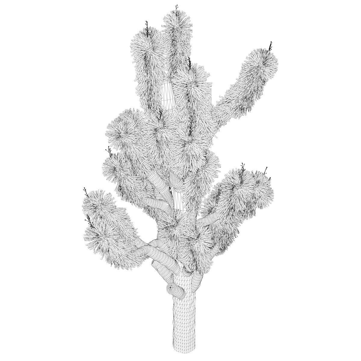 Joshua Tree - 05 - 3D model_2