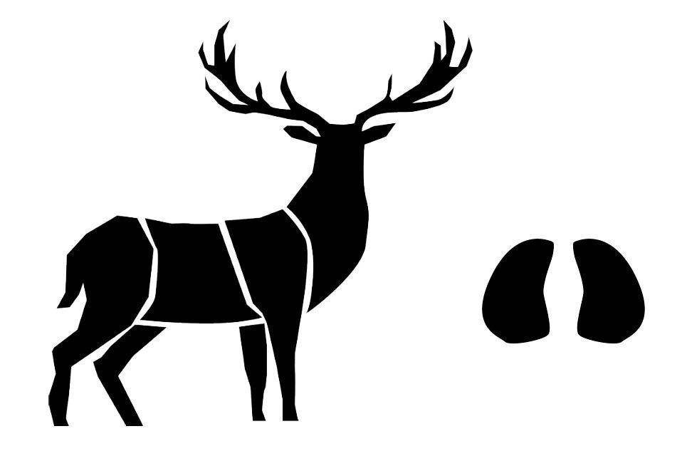 PowPaw Deer - Hiking pole basket with animal footprint 3D print model_2