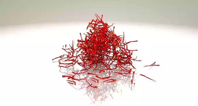 Saffron Stigma 3D model