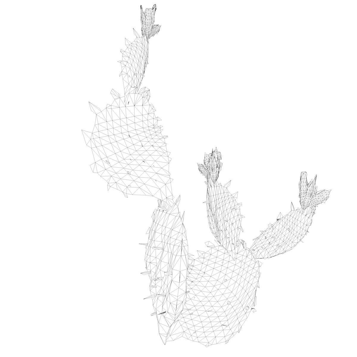 Prickly Pear Cactus Plant - 04 - 3D model_2