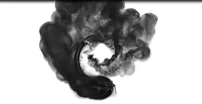 Water ink Dragon